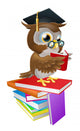 Wise owl reading Wall Decal