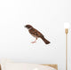 Sparrow