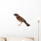 Sparrow