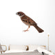 Sparrow