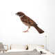 Sparrow