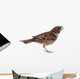 Sparrow