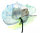 Stylized Flower Illustration