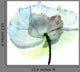 Stylized Flower Illustration