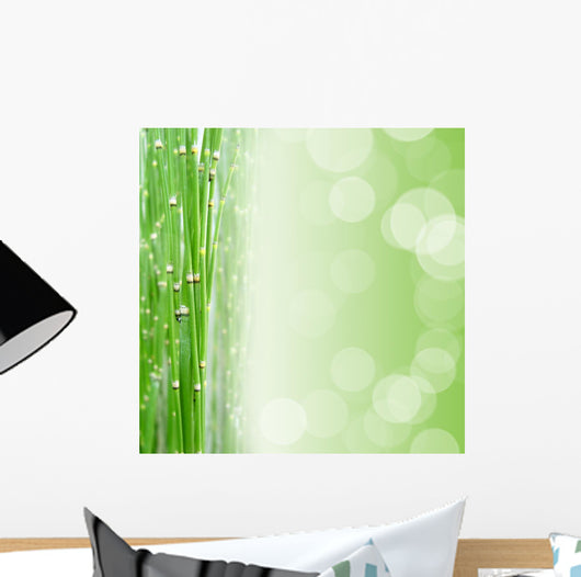 Zen Square Bottom Wall Mural