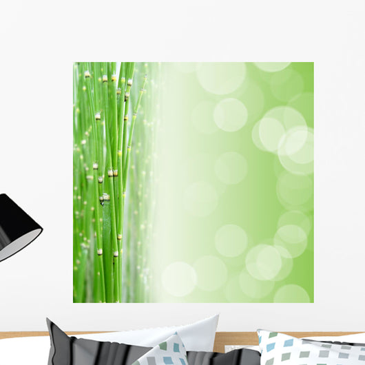 Zen Square Bottom Wall Mural