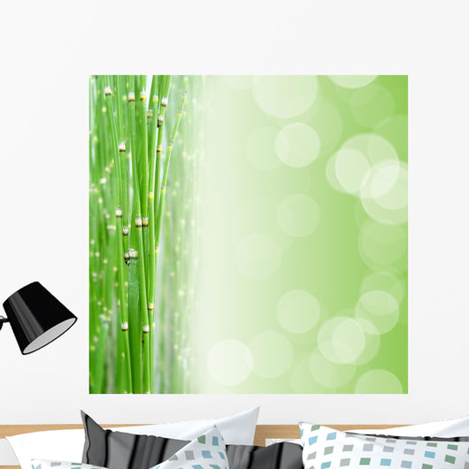 Zen Square Bottom Wall Mural