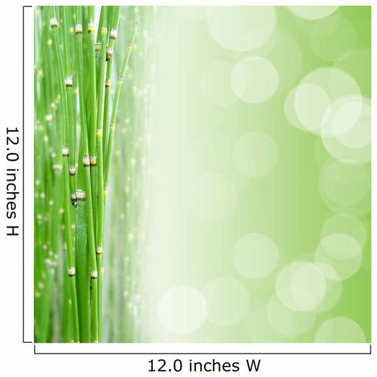 Zen Square Bottom Wall Mural