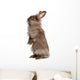 Cute Standing Chocolate Lionhead