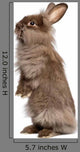 Cute Standing Chocolate Lionhead