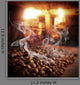 Roasted Steaming Coffee Beans