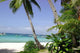 Boracay Island Wall Decal