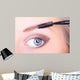 Beautiful Woman Brushing Eyebrows Wall Mural