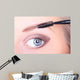 Beautiful Woman Brushing Eyebrows Wall Mural