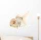 White Goldfish Wall Decal