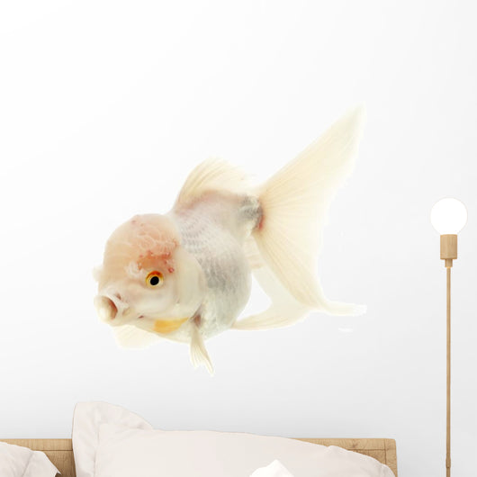 White Goldfish Wall Decal