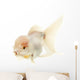 White Goldfish Wall Decal