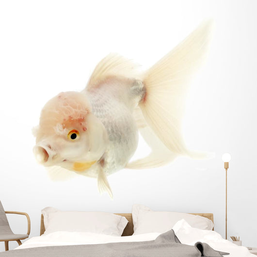 White Goldfish Wall Decal