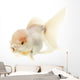 White Goldfish Wall Decal