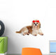 Shih Tzu Dog in Studio Wall Decal