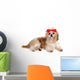 Shih Tzu Dog in Studio Wall Decal