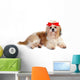 Shih Tzu Dog in Studio Wall Decal