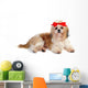Shih Tzu Dog in Studio Wall Decal