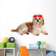Shih Tzu Dog in Studio Wall Decal