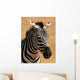 Portrait Plains Zebra Equus Wall Mural