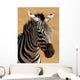 Portrait Plains Zebra Equus Wall Mural