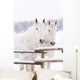 White Horses Wall Mural