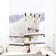 White Horses Wall Mural