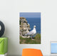 Gull Front Cliff Wall Mural