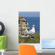 Gull in front of Cliff Wall Mural