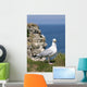 Gull in front of Cliff Wall Mural