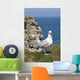 Gull in front of Cliff Wall Mural