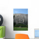 Stone Mountain Carving Wall Mural