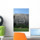 Stone Mountain Carving Wall Mural