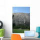 Stone Mountain Carving Wall Mural