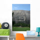 Stone Mountain Carving Wall Mural