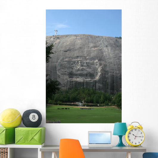 Stone Mountain Carving Wall Mural