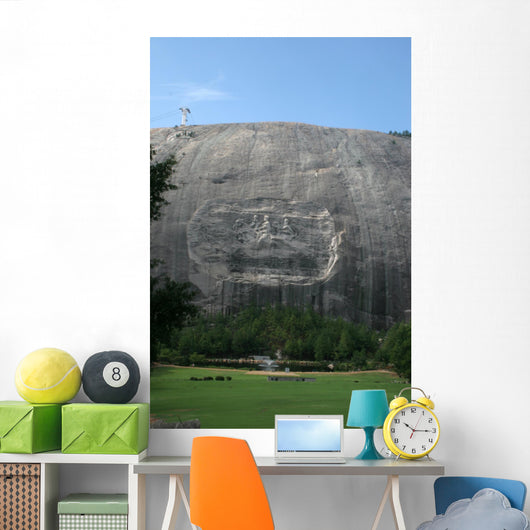 Stone Mountain Carving Wall Mural