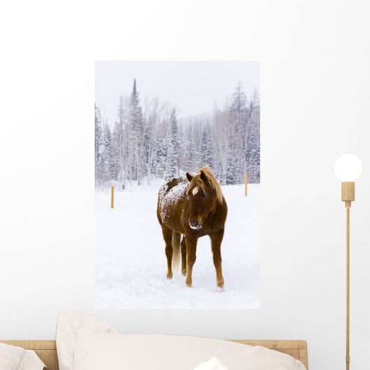 Horses Wall Mural