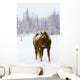 Horses Wall Mural