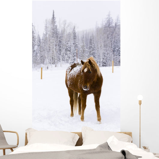 Horses Wall Mural