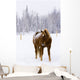 Horses Wall Mural