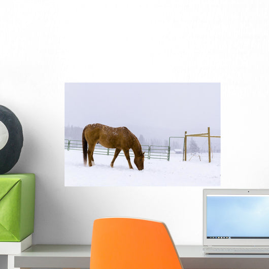 Horses Wall Mural