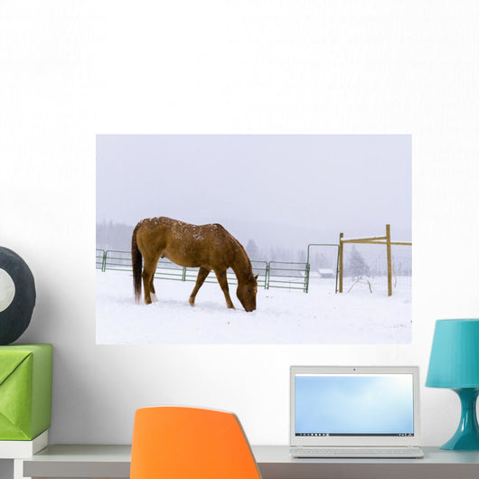 Horses Wall Mural