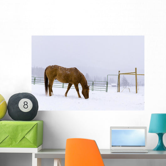 Horses Wall Mural