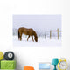 Horses Wall Mural